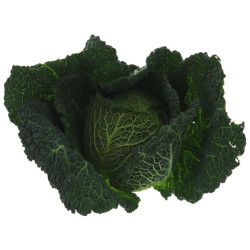 CHOU VERT 8PCS